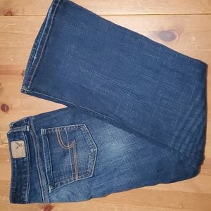 AMERICAN EAGLE OUTFITTERS Favorite Boyfriend Jeans Size 10